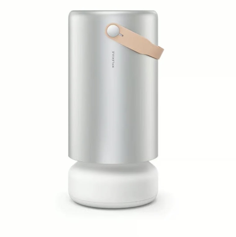 Molekule Air Pro